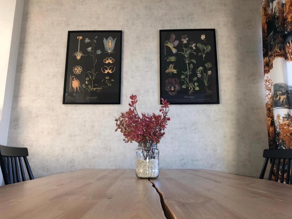 Northern Lights Center Apartment 로바니에미 외부 사진
